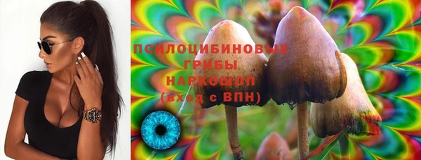 ГАЛЛЮЦИНОГЕННЫЕ ГРИБЫ Зерноград