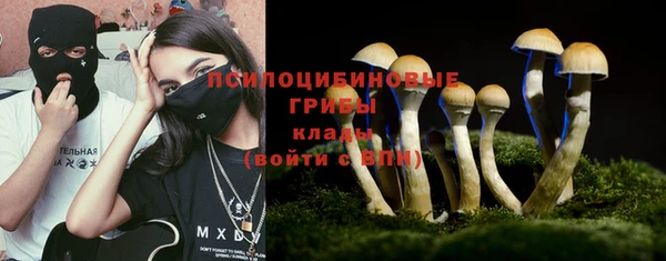 молекула духа Зеленодольск