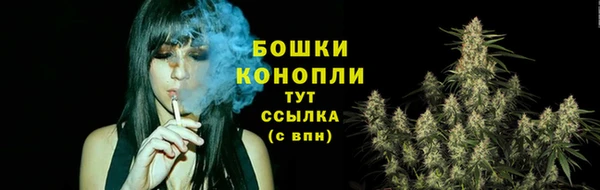 молекула духа Зеленодольск