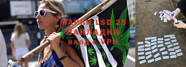 ГАЛЛЮЦИНОГЕННЫЕ ГРИБЫ Зерноград