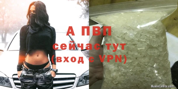 молекула духа Зеленодольск