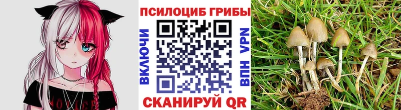 Галлюциногенные грибы GOLDEN TEACHER  Купить где  Орёл